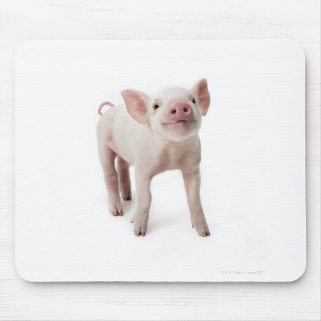 Pig Standing Looking Up Mouse Pad (Front)