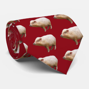 pig tie