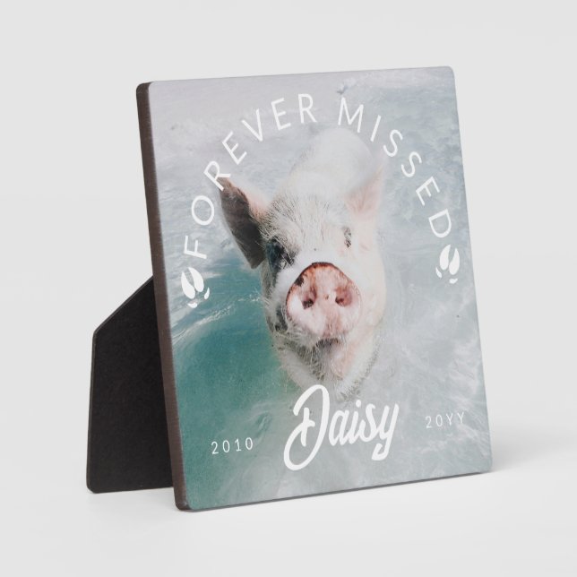 Pig Toe Prints Forever Missed Pig Photo Plaque (Front)