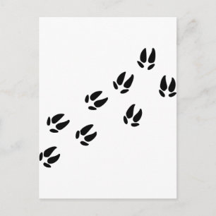 Pig - Tracks Postcard