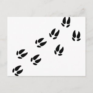 Pig - Tracks Postcard