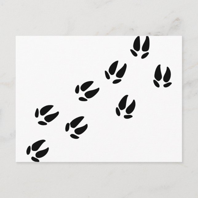 Pig - Tracks Postcard (Front)