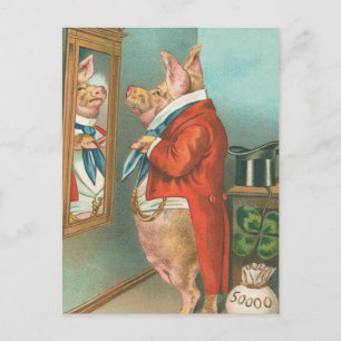 Pig Tying His Cravat Postcard
