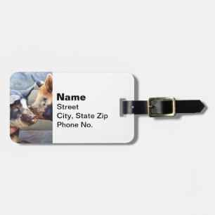 Pig Whisperer Luggage Tag
