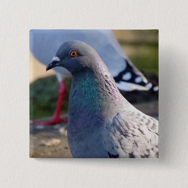 Pigeon 15 Cm Square Badge (Front)