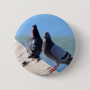 Pigeon 6 Cm Round Badge