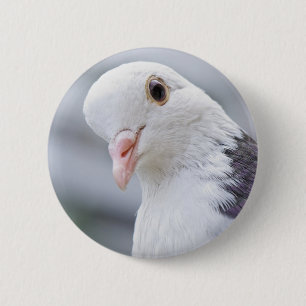 Pigeon 6 Cm Round Badge