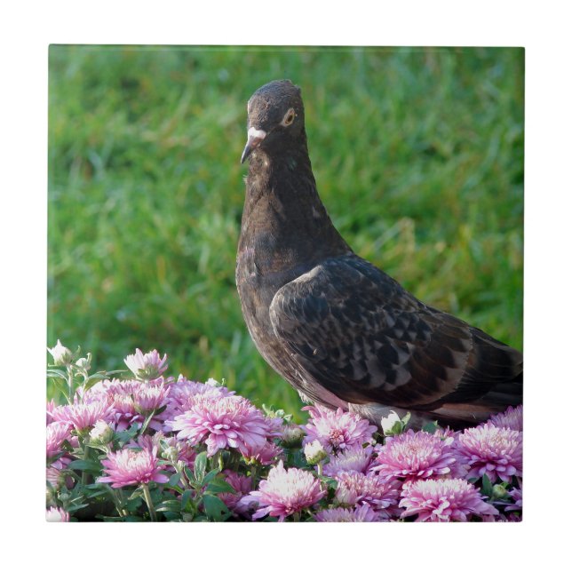 Pigeon and Mums Ceramic Tile (Front)