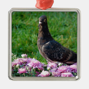 Pigeon and Mums Metal Ornament