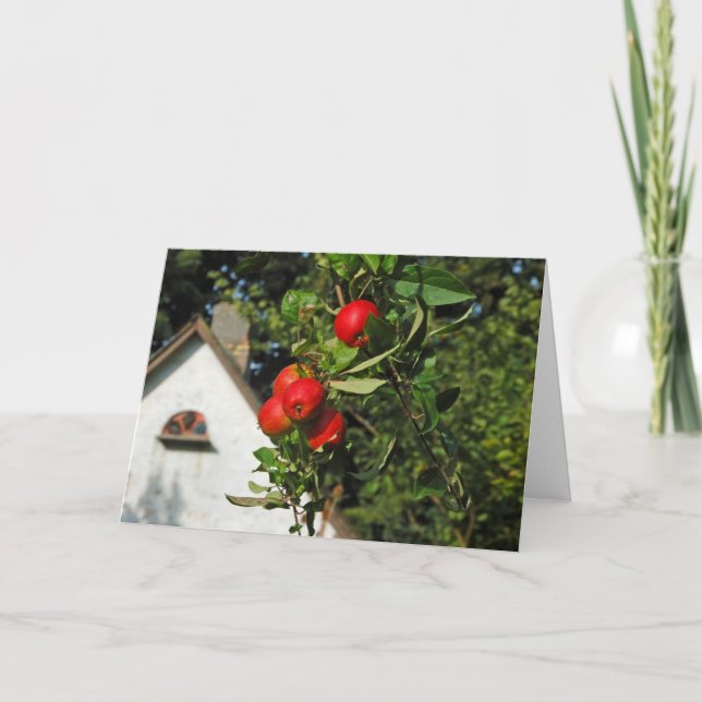 Pigeon Apples Greeting Cards (Front)