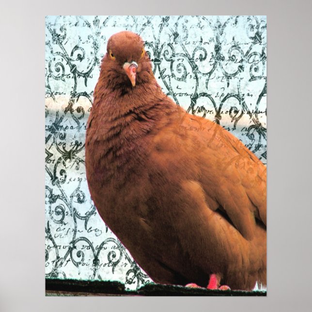 Pigeon Art Poster (Front)