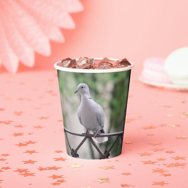 pigeon Bird on Balcony Photography Portrait Paper Cups (Insitu)