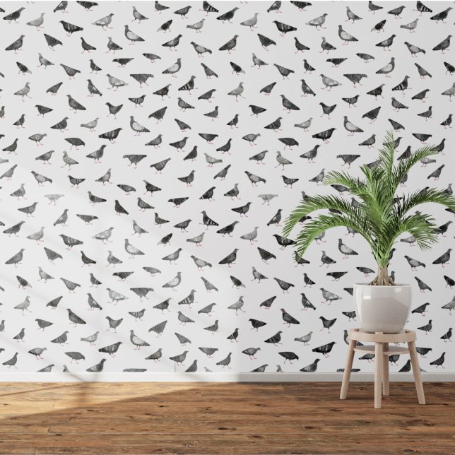 Pigeon Bird Wallpaper (Fun pigeon bird wallpaper)