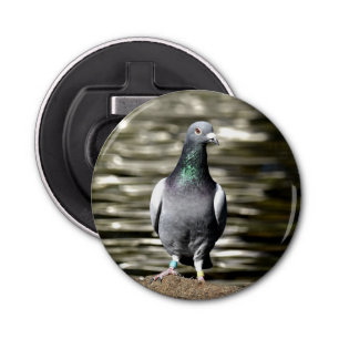 Pigeon Bottle Opener