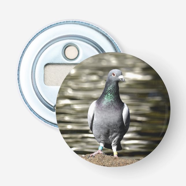Pigeon Bottle Opener (Front)