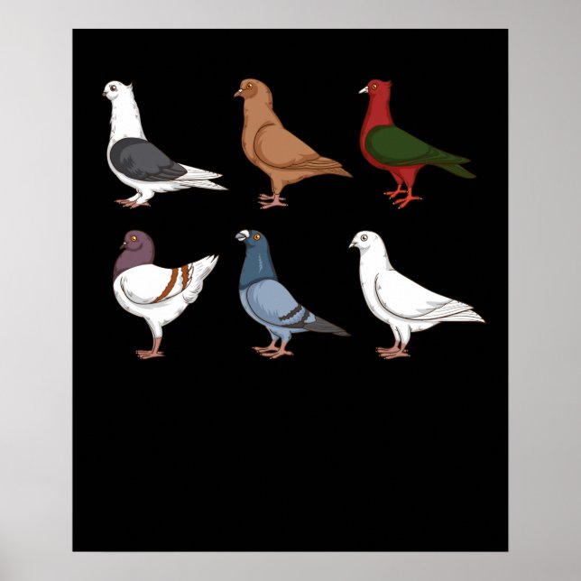 Pigeon Breeding Gift Men Pigeon Racing Pigeon Poster (Front)