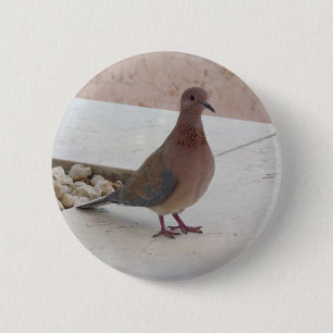 Pigeon button