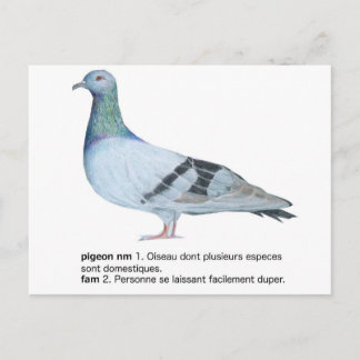 Pigeon by NuancesdePigeon T-shirts Postcard