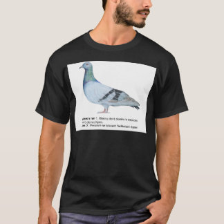 Pigeon by NuancesdePigeon Tee-shirts T-Shirt