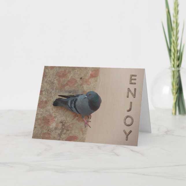 pigeon celebration card (Front)