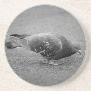 Pigeon Coaster