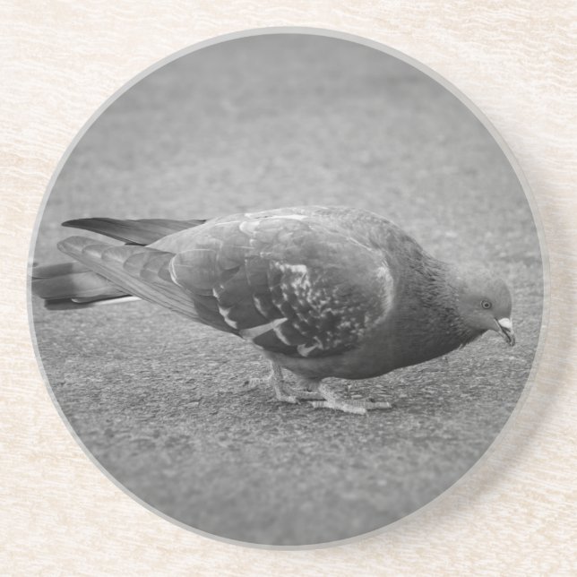 Pigeon Coaster (Front)