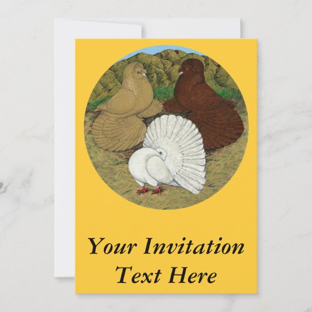 Pigeon Combo Invitation (Front)