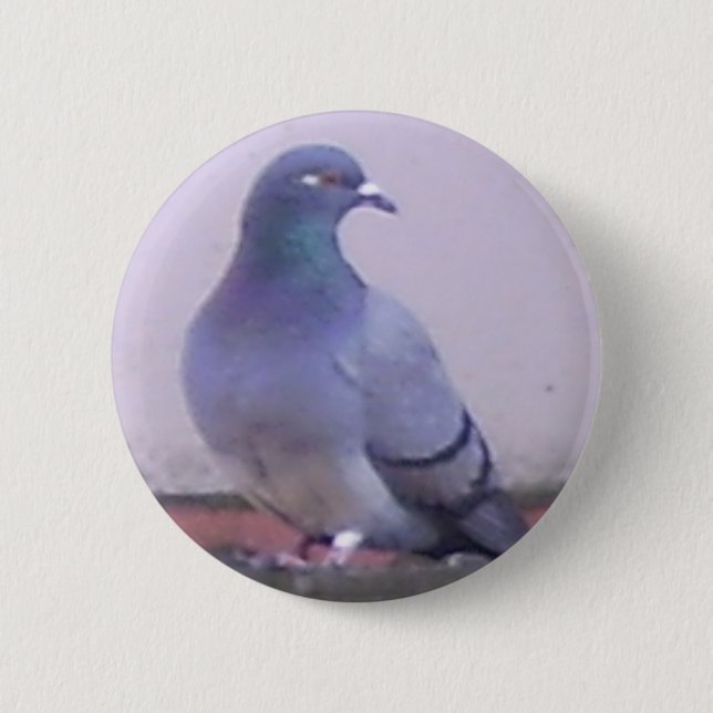 Pigeon copy 6 cm round badge (Front)