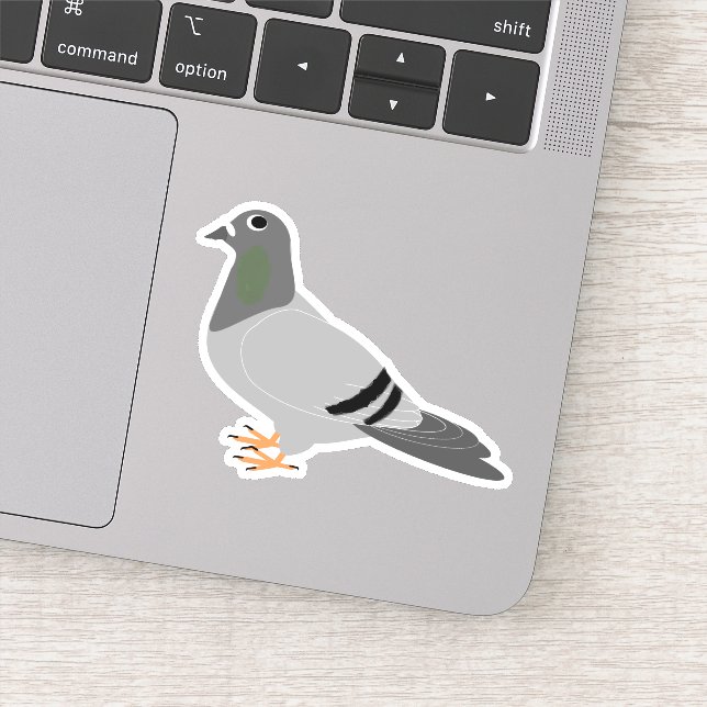 Pigeon Design (Detail)