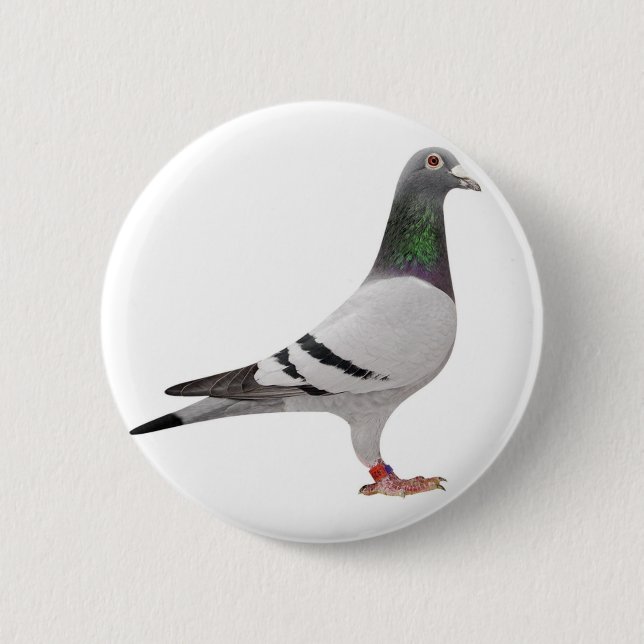 pigeon design 6 cm round badge (Front)