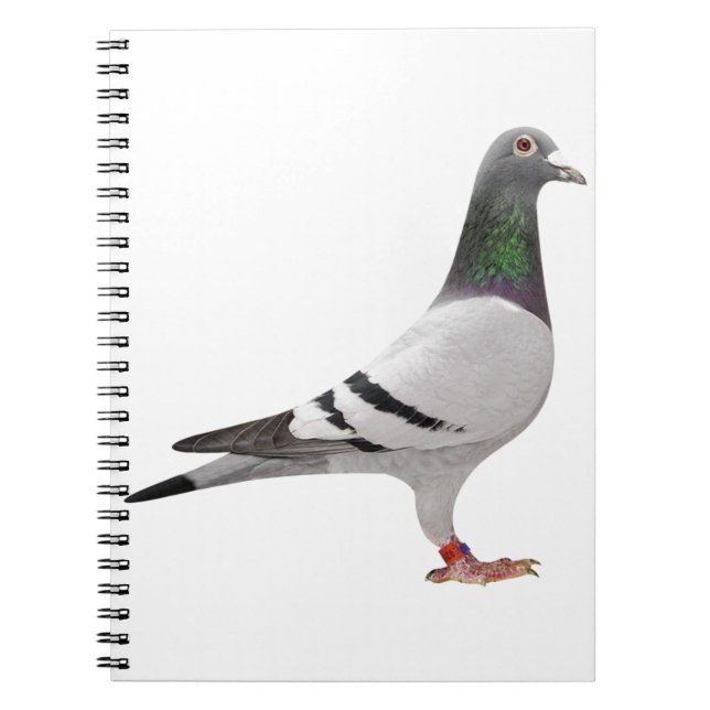 pigeon design notebook (Front)