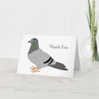 Pigeon Design Thank You