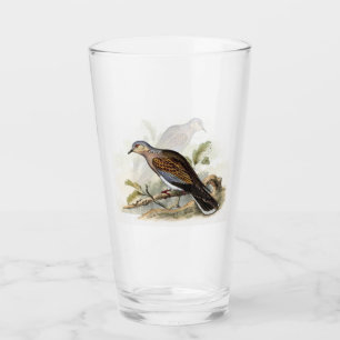 Pigeon Dove Streptopelia Painting Nature Birds Art Glass