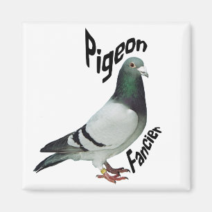 Pigeon Fancier Magnet