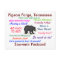 Pigeon Forge, Tennessee Postcard