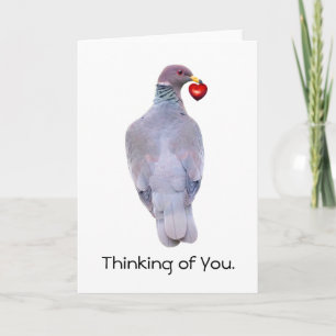 Pigeon Heart Card