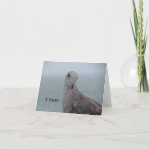 Pigeon "Hi there" Note Card