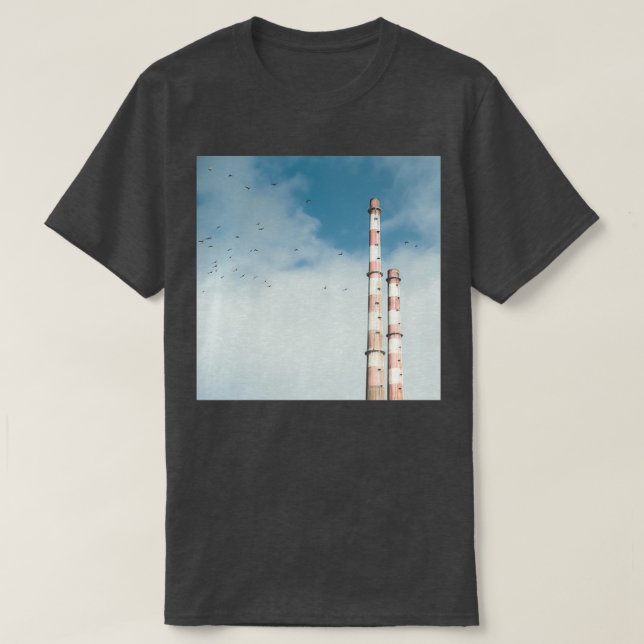 Pigeon House 2 T-Shirt (Design Front)