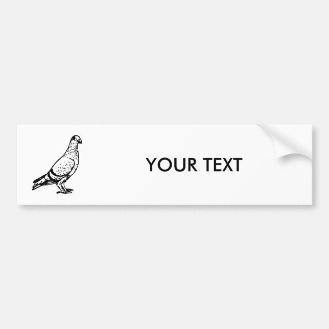 Pigeon Illustration Bumper Sticker (Front)