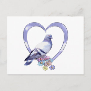 Pigeon in Heart Postcard