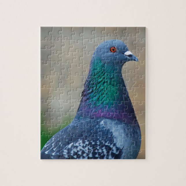 Pigeon Jigsaw Puzzle (Vertical)