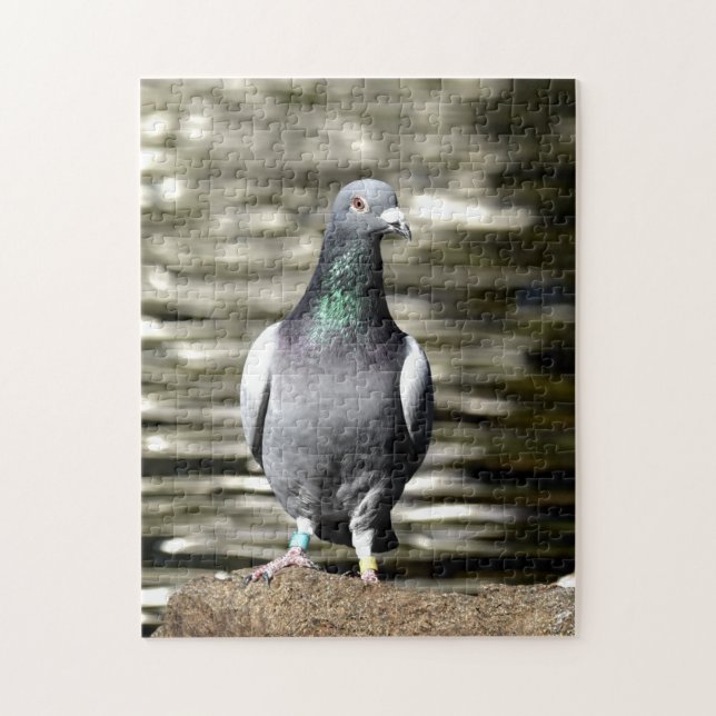 Pigeon Jigsaw Puzzle (Vertical)