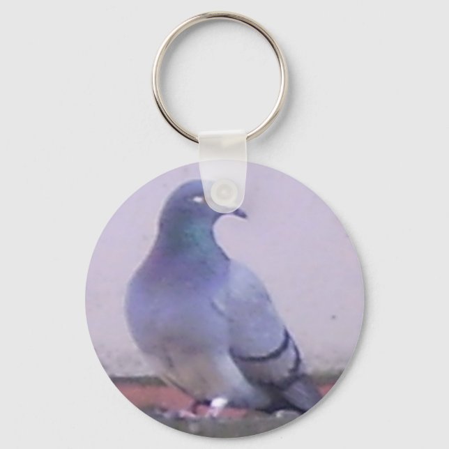 Pigeon Key Ring (Front)