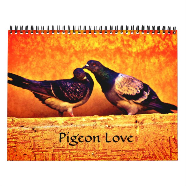 Pigeon Love Calendar (Cover)