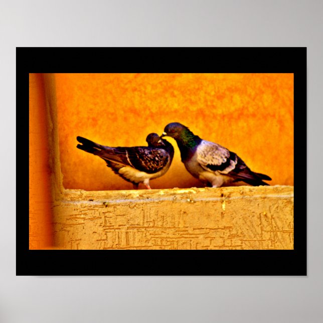 Pigeon Love Poster (Front)