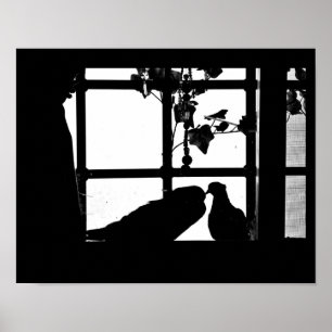 Pigeon Love Poster