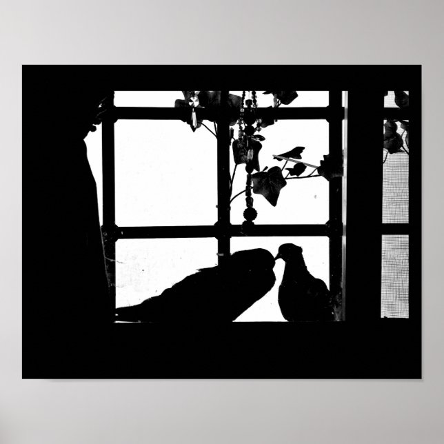 Pigeon Love Poster (Front)
