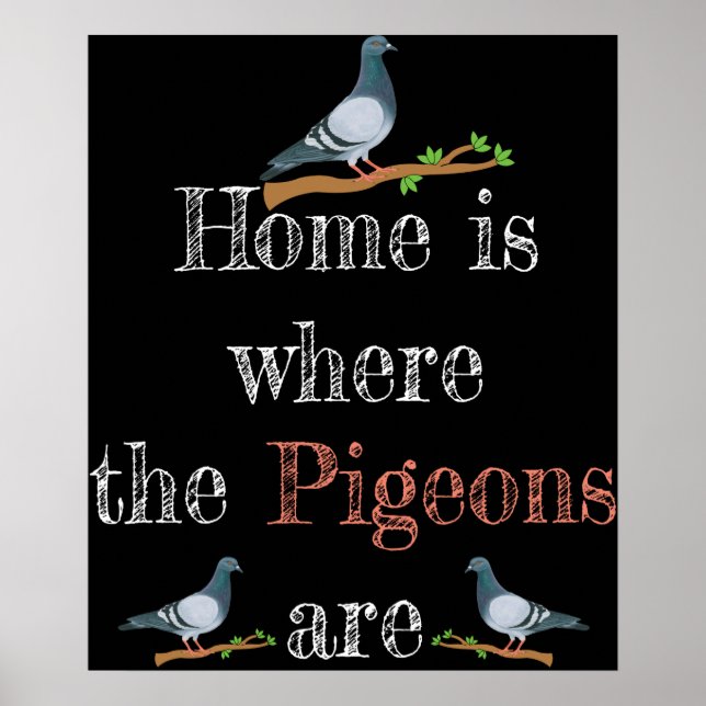 Pigeon Lover Pigeon Racing Gift Pigeon Breeding Poster (Front)