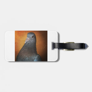 Pigeon Luggage Tag