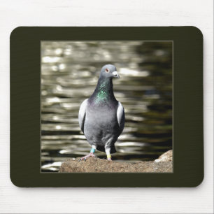 Pigeon Mouse Pad